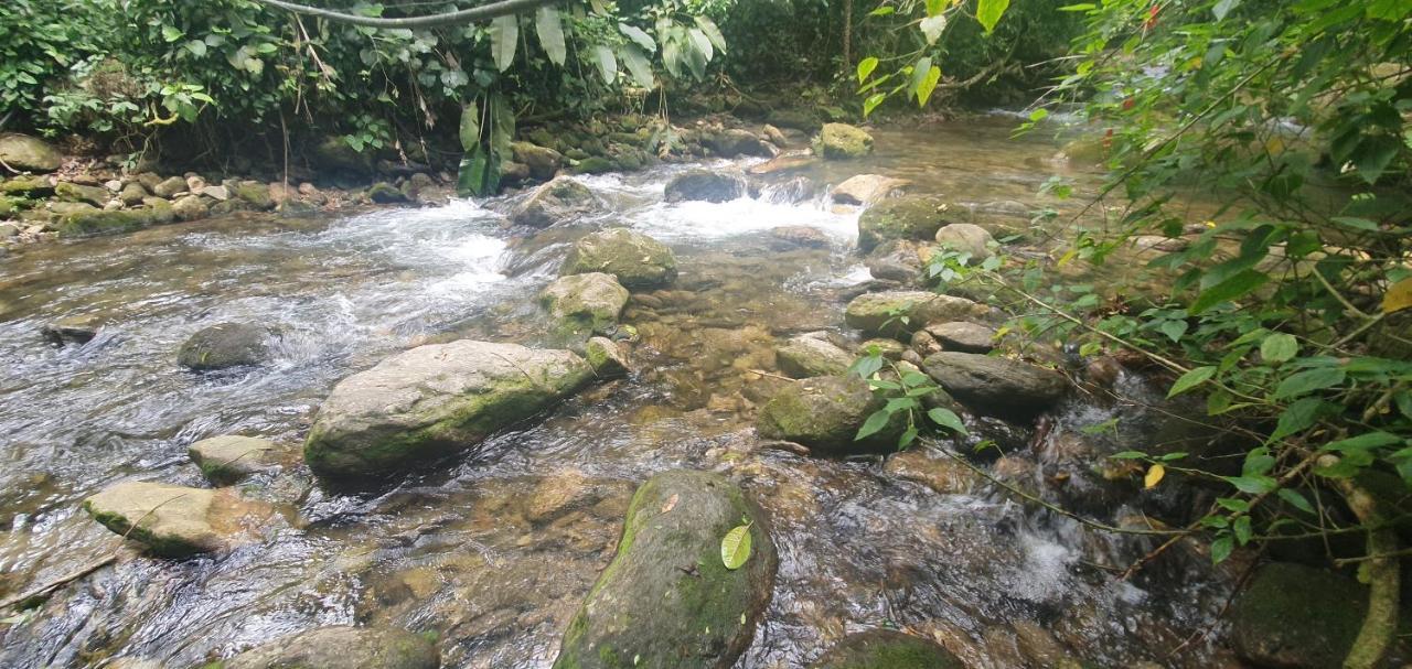 Casa Da Josie Em Maresias Com Piscina No Pe Da Mata Atlantica - 4 Quartos Exterior foto